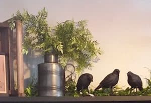 Black Crow Figurines with greenery and glass jar - Primitive Olde Crow Gatherings